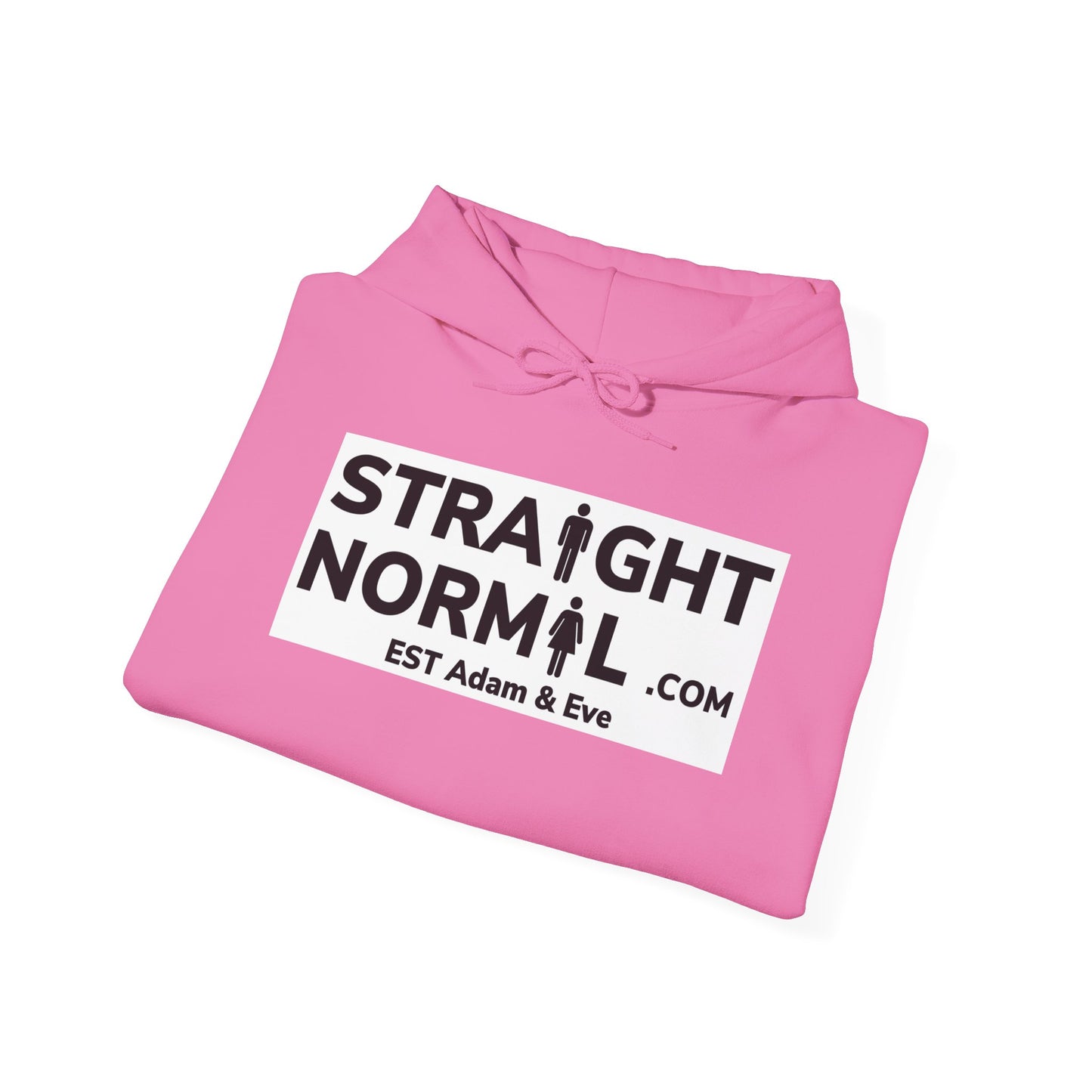 Normal Heavy Hooded Sweatshirt