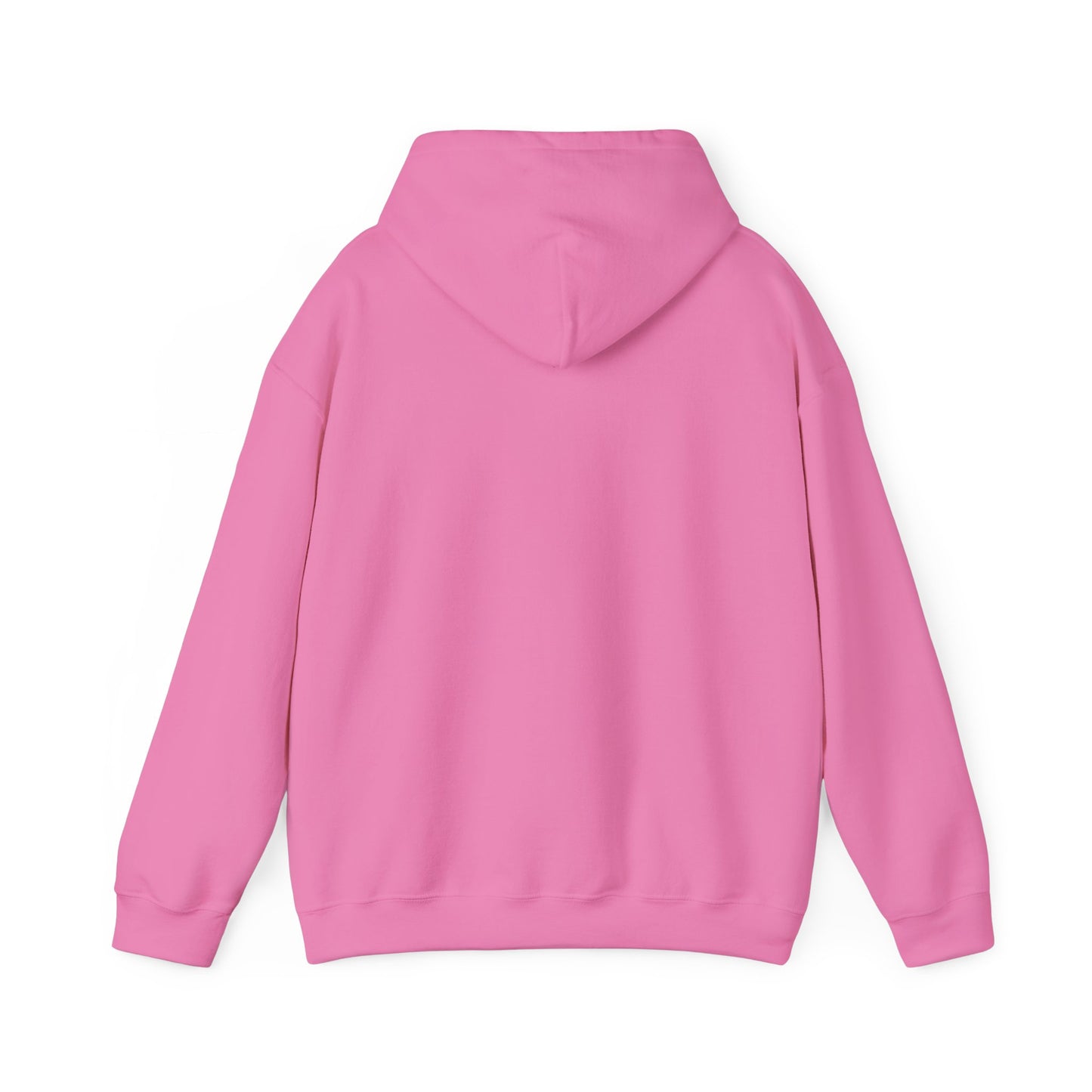 Normal Heavy Hooded Sweatshirt