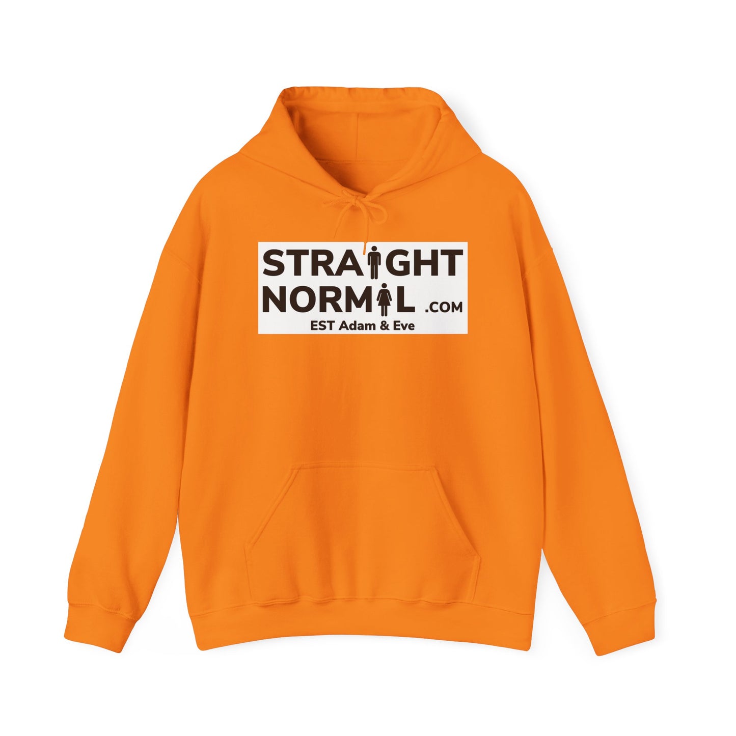 Normal Heavy Hooded Sweatshirt