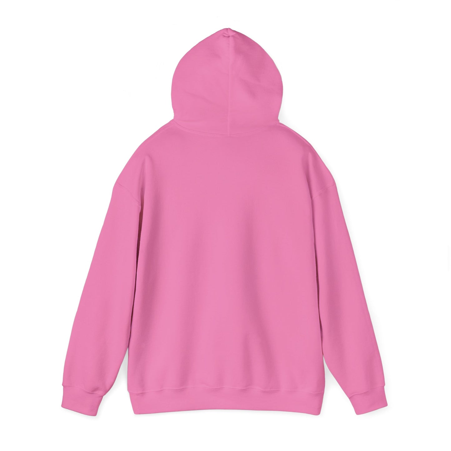 Normal Heavy Hooded Sweatshirt