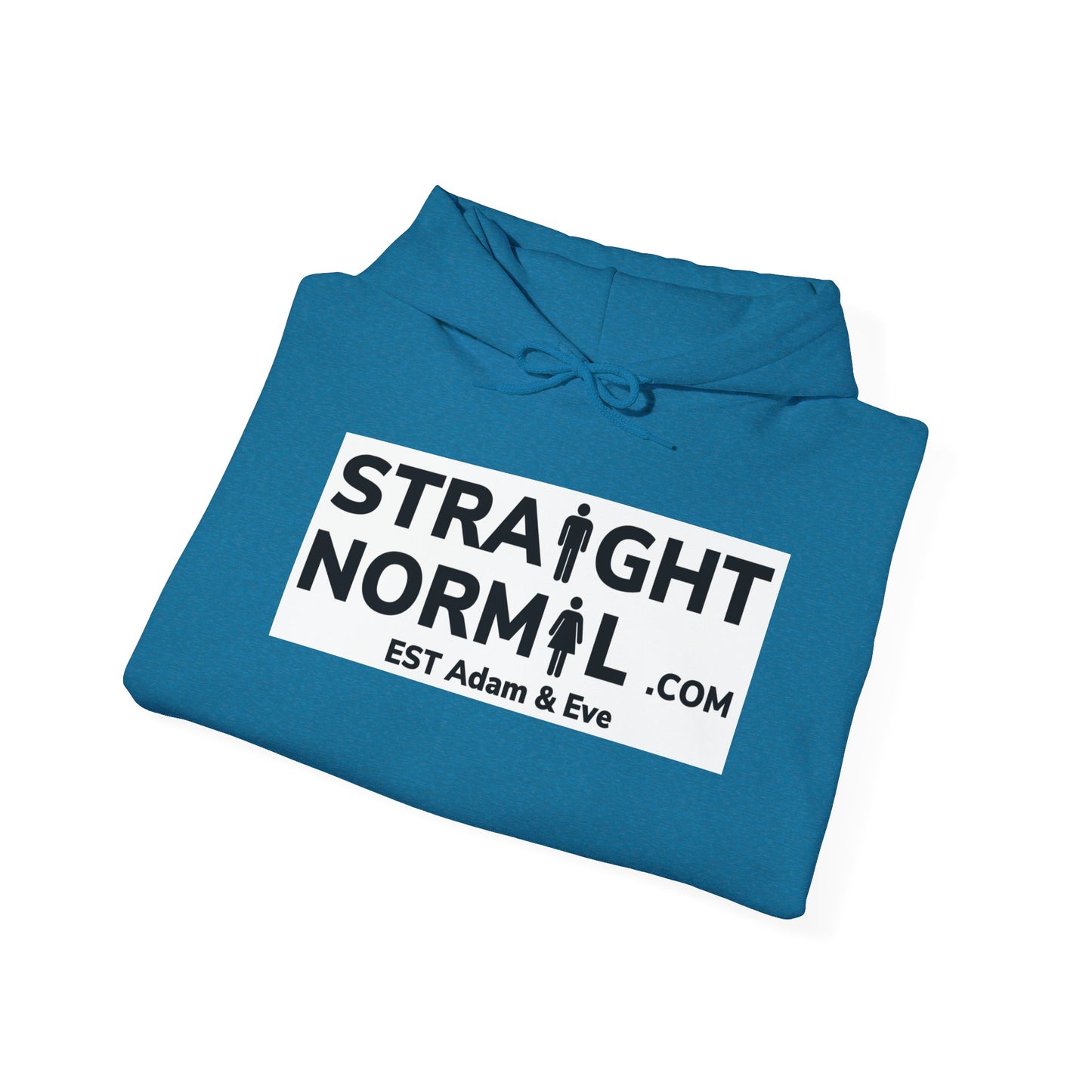 Normal Heavy Hooded Sweatshirt