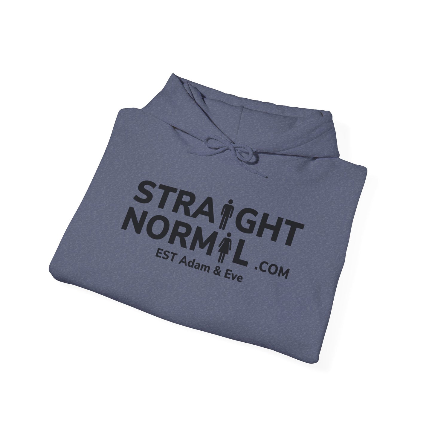 Normal Heavy Hooded Sweatshirt