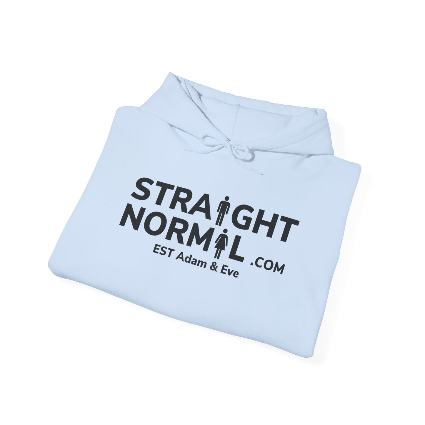 Normal Heavy Hooded Sweatshirt