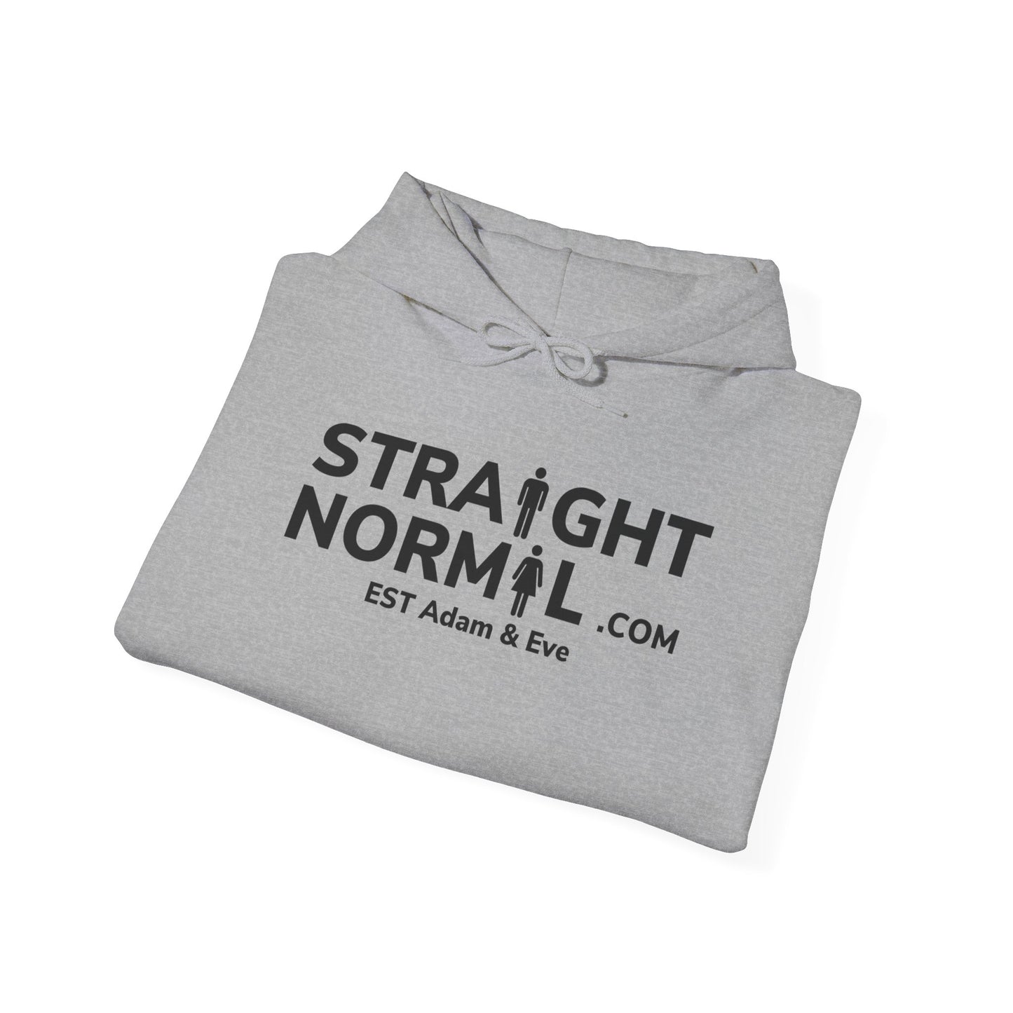 Normal Heavy Hooded Sweatshirt