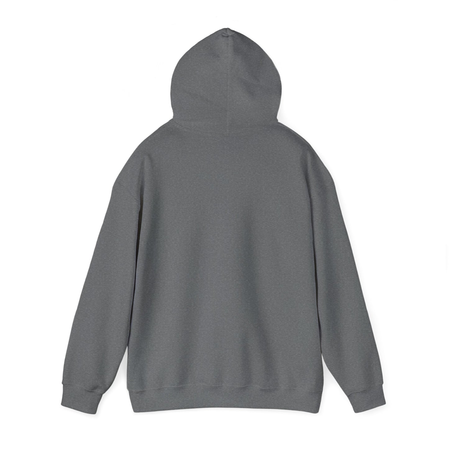 Normal Heavy Hooded Sweatshirt